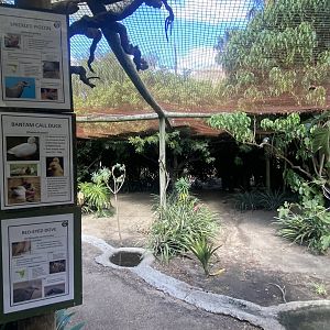 Smaller Mixed Aviary