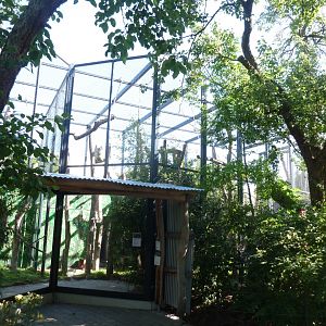 Lemur aviary - lateral viewing point