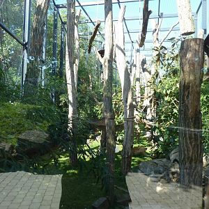 Lemur aviary - Frontal viewing point