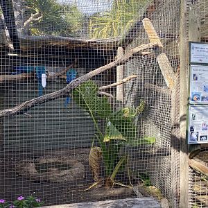 Blue & Gold Macaw Exhibit