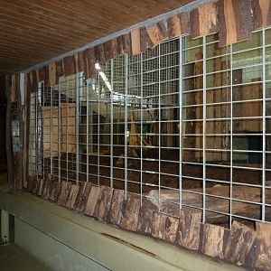 Carnivore house - Tiger cage