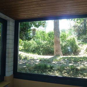 Carnivore house - Viewing point to the 2019 lion enclosure