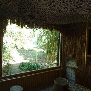 Carnivore house - Viewing point to the tiger enclosure