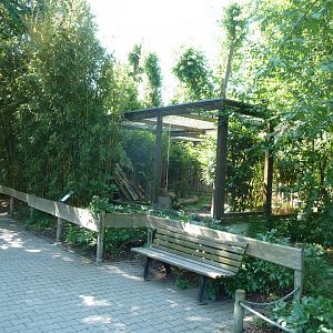 Aviary for local birdlife