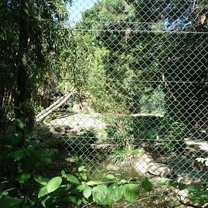 Sumatran tiger enclosure