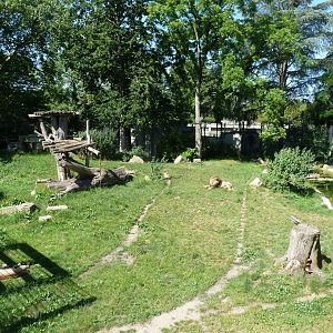 Barbary lion enclosure seen from viewing tower