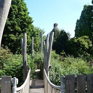 Park view seen from viewing tower
