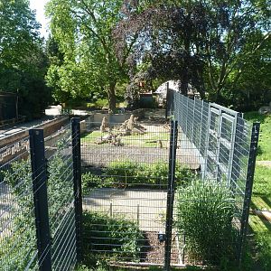 Meerkat & African porcupine enclosure seen from viewing tower