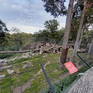 One off the two Eurasian Brown bear enclosure
