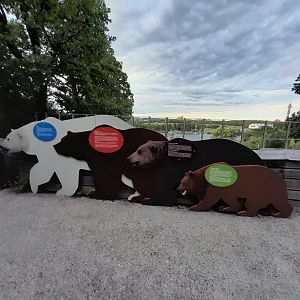 Wooden 2d life-sized models of bears