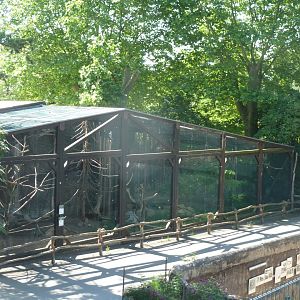 White-necked raven & hooded vulture aviary seen from viewing tower