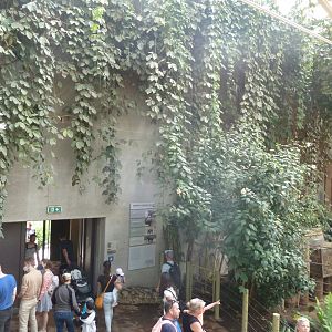 Elephant house entrance