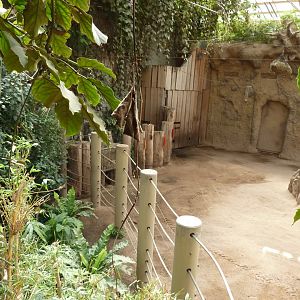 Elephant house from viewing deck