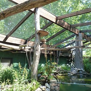 South America aviary