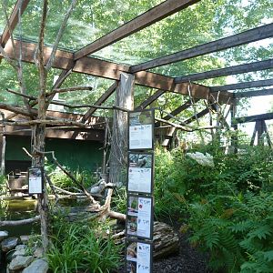 South American aviary