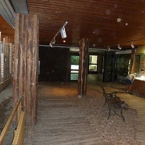 Savannah house interior