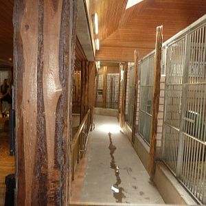 Savannah house interior