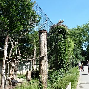 Southern ground hornbill aviary