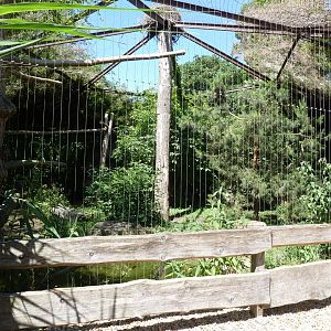 Stellers' sea eagle aviary