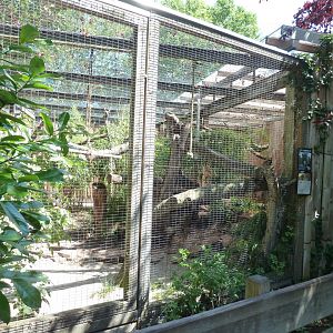 Fossa enclosure