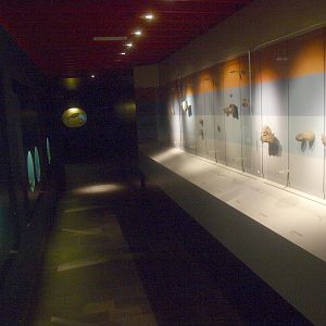 Biochron - Exhibition area with fossil displays, 2015-07-19