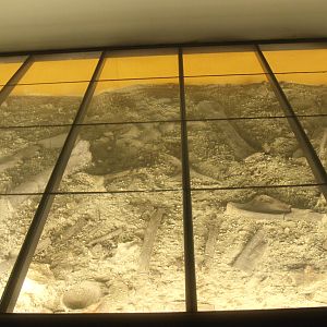 Biochron - Fossil dig display with glass walkway, 2015-07-19
