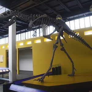 Biochron - Tyrannosaurus rex skeleton, 2015-07-19