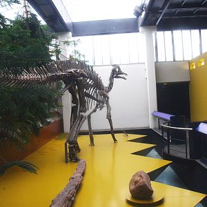 Biochron - Hadrosaurid skeleton, 2015-07-19