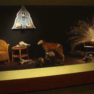 Biochron - Domestic animals display, 2015-07-19