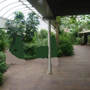 View in the butterfly garden, 2015-07-19