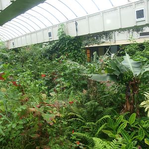 View in the butterfly garden, 2015-07-19