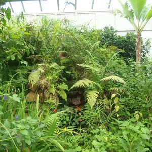 View in the butterfly garden, 2015-07-19