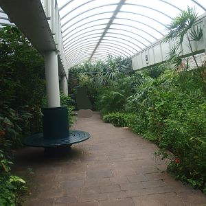 View in the butterfly garden, 2015-07-19