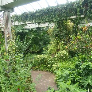 View in the butterfly garden, 2015-07-19