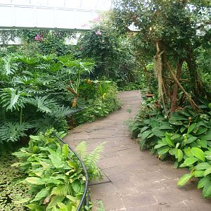 Walkway in the butterfly garden,, 2015-07-19