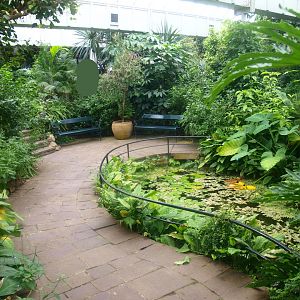 Walkway and sitting area in the butterfly garden,, 2015-07-19