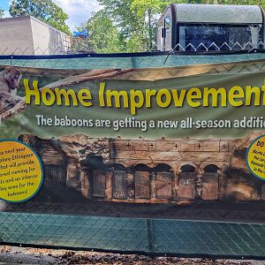 Aug. 2022 - Africa - Future Baboon Sign