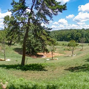 Aug. 2022 - Watani Grasslands Reserve - 25 Acre Savanna (8 Species)