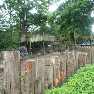 Former Wild West exhibit, home to Bactrian camels for Wildlands at the time, 2015-07-19