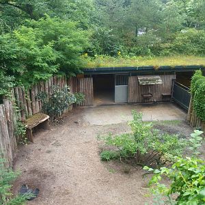 Collared peccary exhibit (Former Wild West exhibit separation paddock and part of barn), 2015-07-19