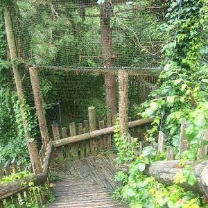 Wild West exhibit walkway underneath the Eurasian great grey owl aviary, 2015-07-19
