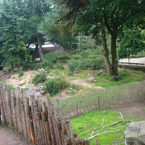 Land area of temporary Humboldt penguin exhibit, 2015-07-19