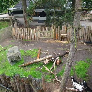 Secondary Domestic goat paddock, 2015-07-19