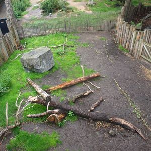 Secondary Domestic goat paddock, 2015-07-19