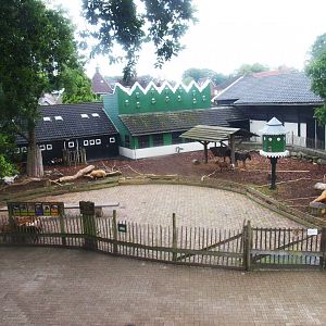 Petting zoo paddock and buildings, 2015-07-19