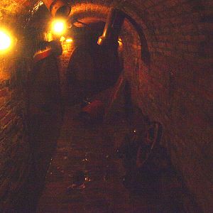 Rat Sewer - Rat exhibit (not the greatest or clearest image), 2015-07-19