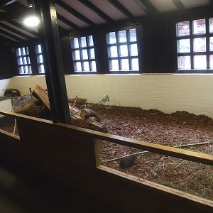 Petting zoo building - Domestic guinea pig pen, 2015-07-19