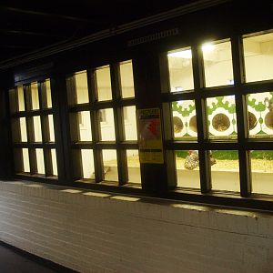 Petting zoo building - Wyandotte chicken coop, 2015-07-19