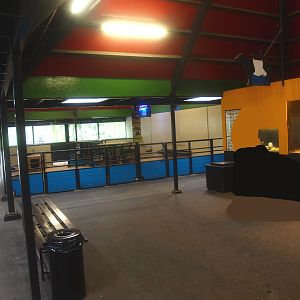 View in the petting zoo building, 2015-07-19