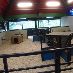 Petting zoo building - Indoor paddocks, 2015-07-19